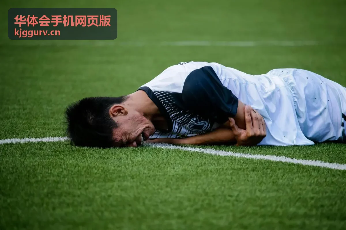 华体会手机网页版常见问题速答板块的折叠问答封面